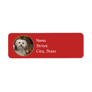 Havanese Christmas Return Address Labels