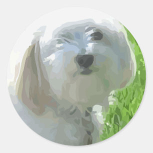 Havanese Classic Round Sticker