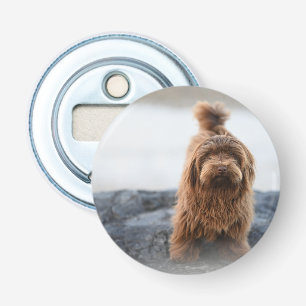 Havanese dog, Animal, Canine Bottle Opener
