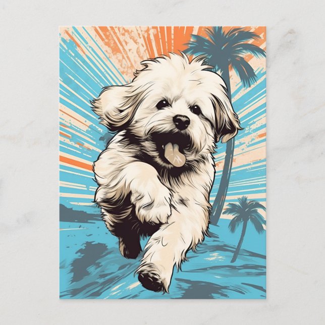 Havanese dog at a tropical beach during sunset postcard (Front)