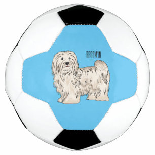 Havanese dog cartoon illustration football