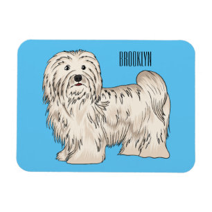 Havanese dog cartoon illustration magnet
