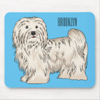 Havanese dog cartoon illustration