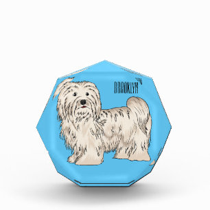Havanese dog cartoon illustration photo block
