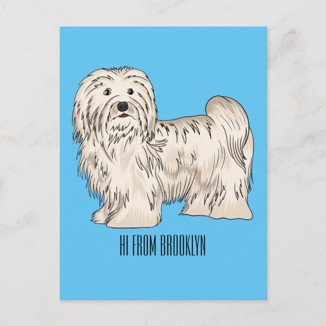 Havanese dog cartoon illustration postcard (Front)