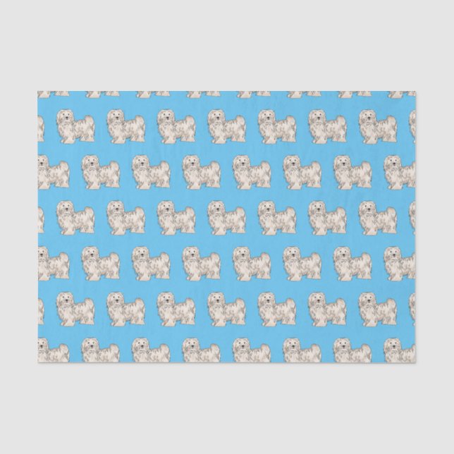 Havanese dog cartoon illustration tissue paper (Front)