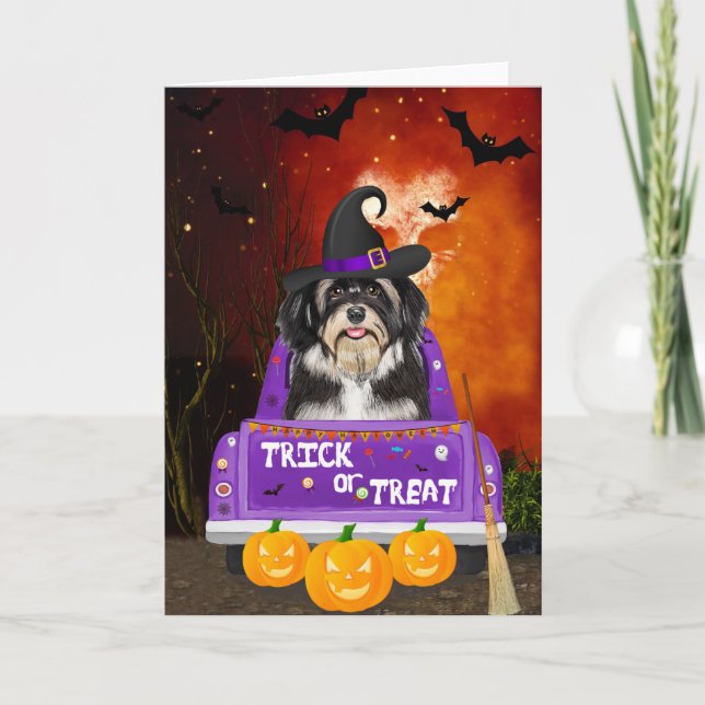 Havanese Dog in Halloween Truck Card (Front)