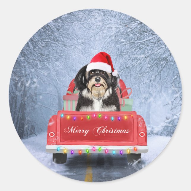 Havanese Dog in Snow sitting in Christmas Truck  Classic Round Sticker (Front)