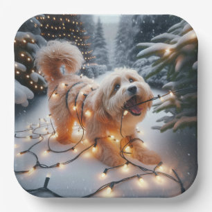 Havanese Dog In Tangled Christmas Lights Paper Plate