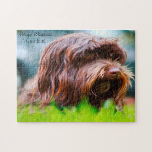 Havanese Dog. Jigsaw Puzzle