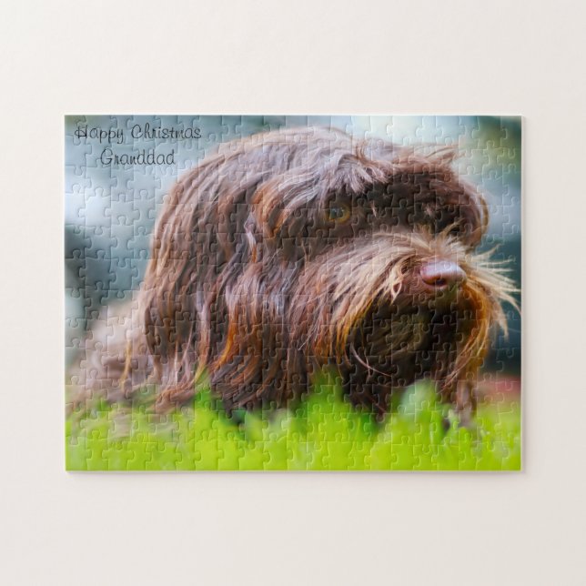 Havanese Dog. Jigsaw Puzzle (Horizontal)