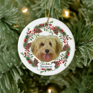 havanese dog Personalised Pet Ornament