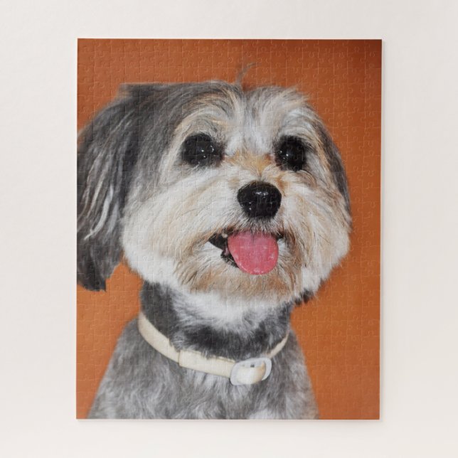 Havanese Dog Portrait Jigsaw Puzzle (Vertical)