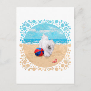 Havanese Enjoys a Day at the Beach Postcard