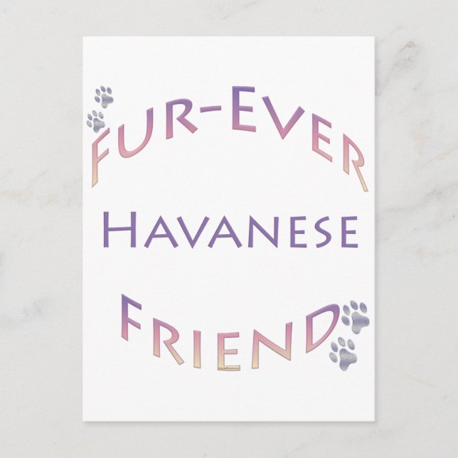 Havanese Furever Postcard (Front)