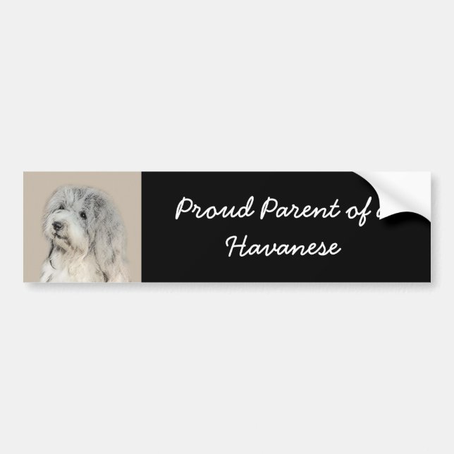 Havanese (Gold Sable) Painting - Original Dog Art Bumper Sticker (Front)