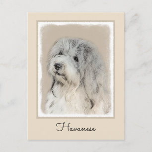 Havanese (Gold Sable) Painting - Original Dog Art Postcard