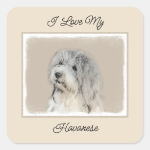 Havanese (Gold Sable) Painting - Original Dog Art Square Sticker