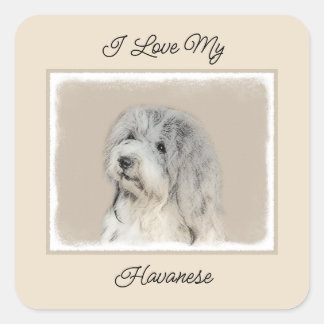 Havanese (Gold Sable) Painting - Original Dog Art Square Sticker