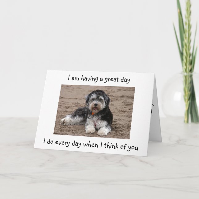 HAVANESE IS HAVING A GREAT DAY-TWIN'S BIRTHDAY CARD (Front)