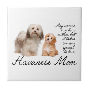 Havanese Mum Ceramic Tile
