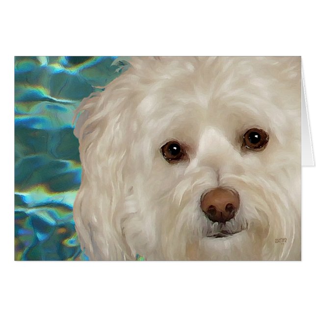 Havanese on Turquoise Water (Front Horizontal)