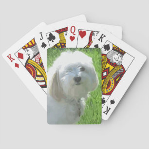Havanese Playing Cards
