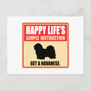 Havanese Postcard