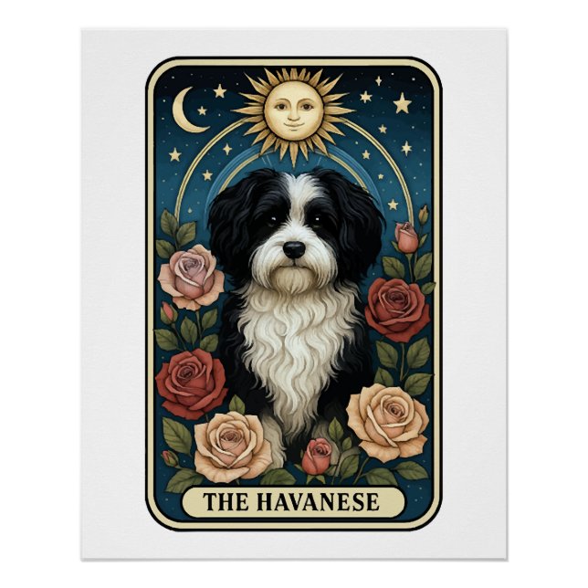 Havanese Poster (Front)