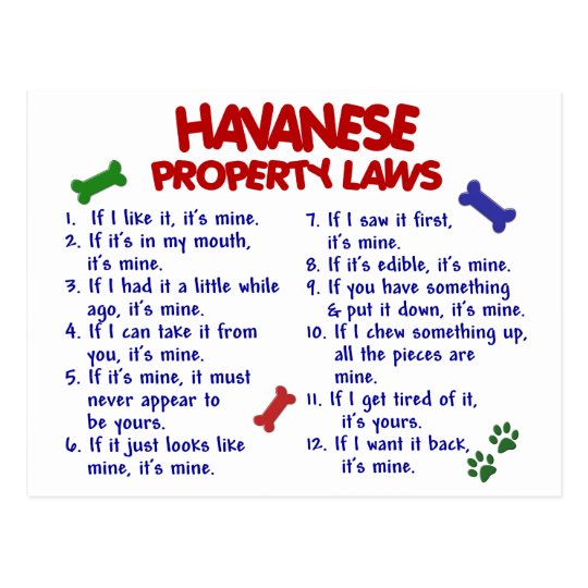 HAVANESE Property Laws 2 Postcard