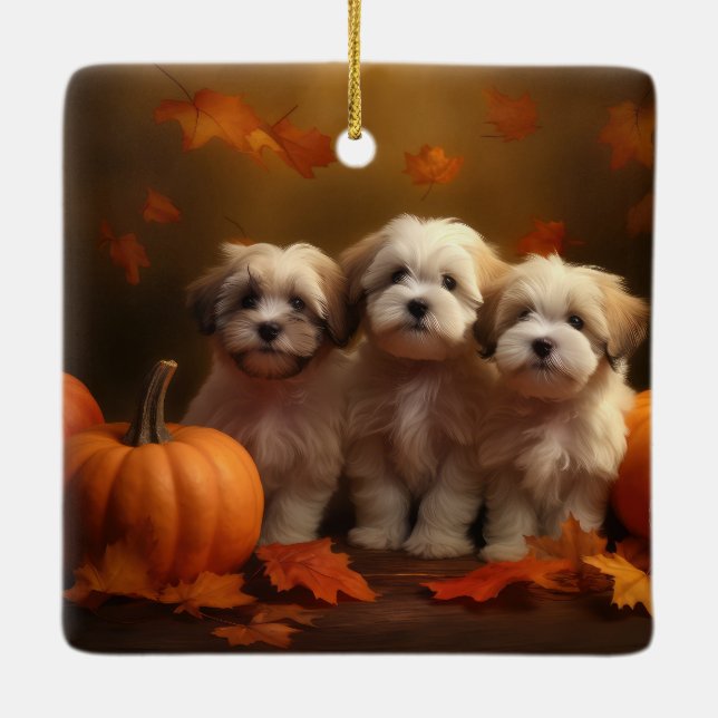 Havanese Puppy Autumn Delight Pumpkin Ceramic Ornament (Back)