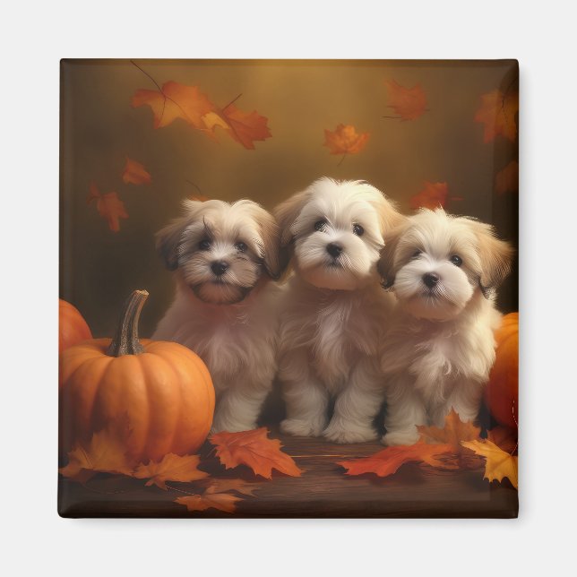 Havanese Puppy Autumn Delight Pumpkin Magnet (Front)