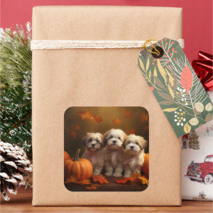 Havanese Puppy Autumn Delight Pumpkin Square Sticker