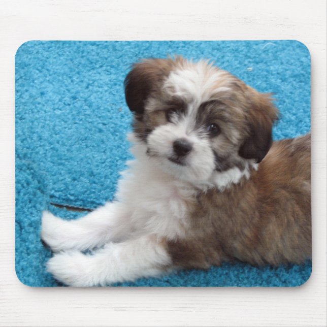 Havanese Puppy - Customised Mouse Mat (Front)