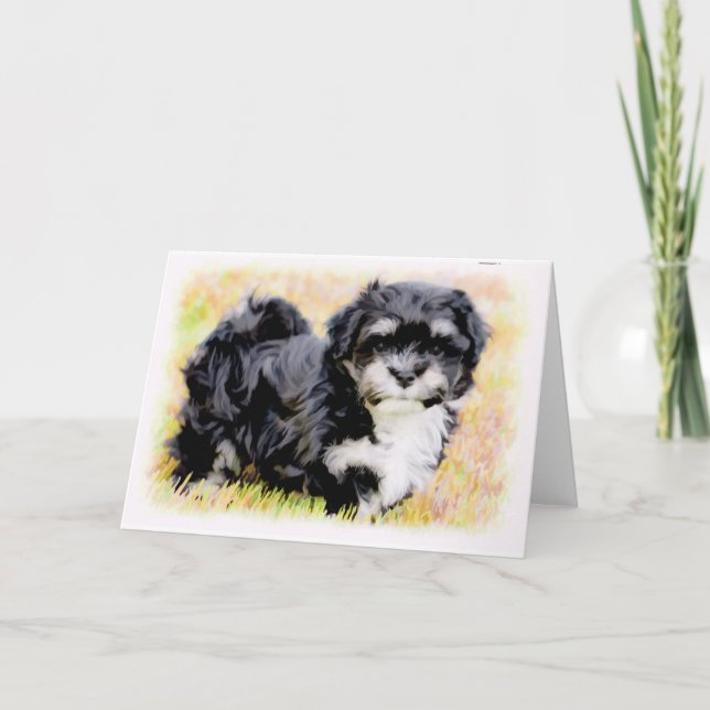 Havanese Puppy Greeting Cards (Front)