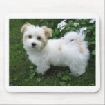 Havanese Puppy in the Garden Mouse Mat<br><div class="desc">Havanese Puppy in the Garden</div>