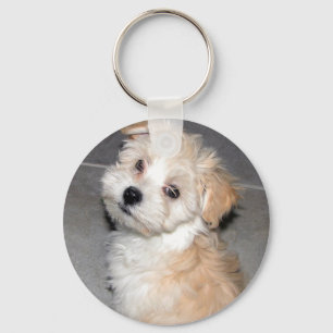 Havanese Puppy Key Ring
