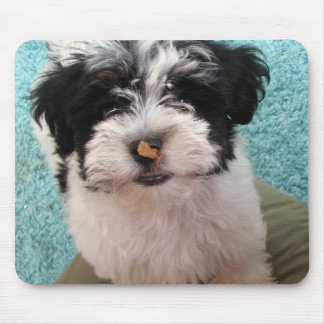 Havanese Puppy Mouse Mat (Front)