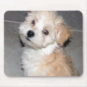 Havanese Puppy Mouse Mat