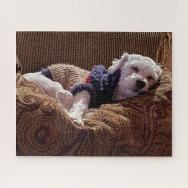 Havanese Puppy Napping - Jigsaw Puzzle (Horizontal)