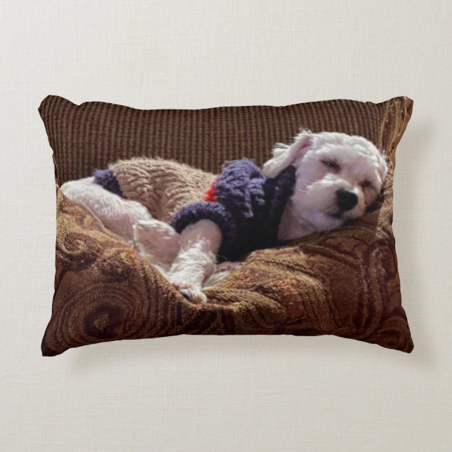 Havanese Puppy Napping - Throw Pillow (Front)
