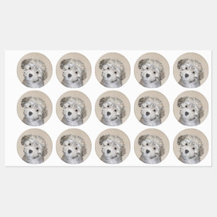 Havanese Puppy Painting - Cute Original Dog Art