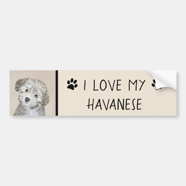 Havanese Puppy Painting - Cute Original Dog Art Bumper Sticker (Front)