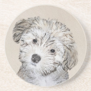 Havanese Puppy Painting - Cute Original Dog Art Coaster