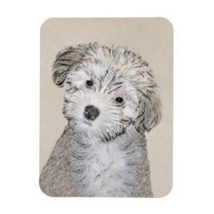 Havanese Puppy Painting - Cute Original Dog Art Magnet