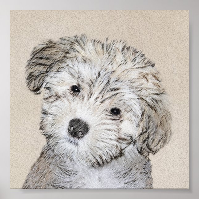 Havanese Puppy Painting - Cute Original Dog Art Poster (Front)