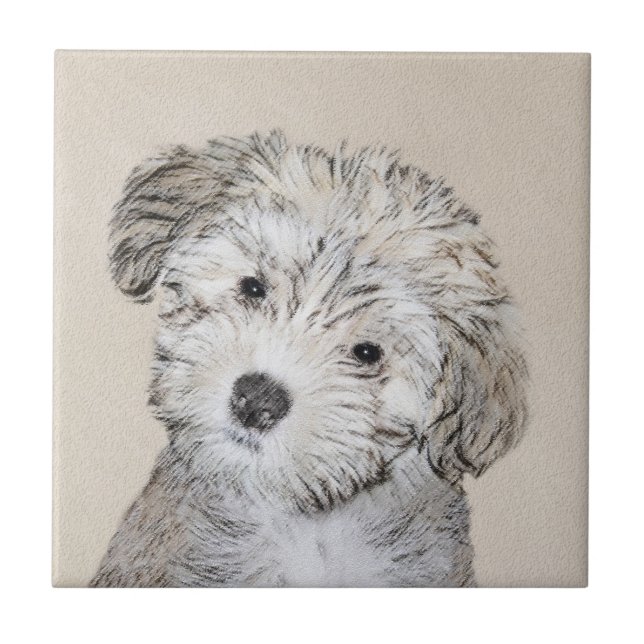 Havanese Puppy Painting - Cute Original Dog Art Tile (Front)