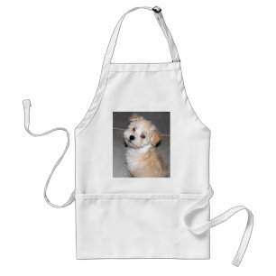 Havanese Puppy Standard Apron