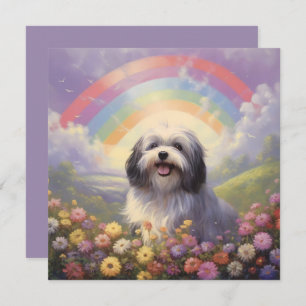 Havanese Rainbow Bridge Custom Name Dog Sympathy