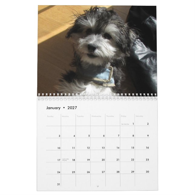 Havanese Rescue Calendar (Jan 2027)